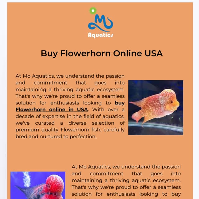 Buy Flowerhorn Online USA At Mo Aquatics.pdf