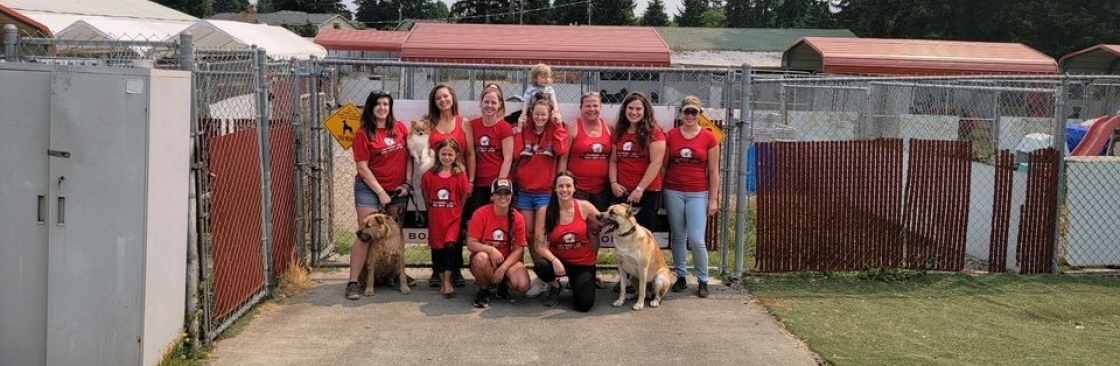 Shaggy Shack Pet Resort Cover Image